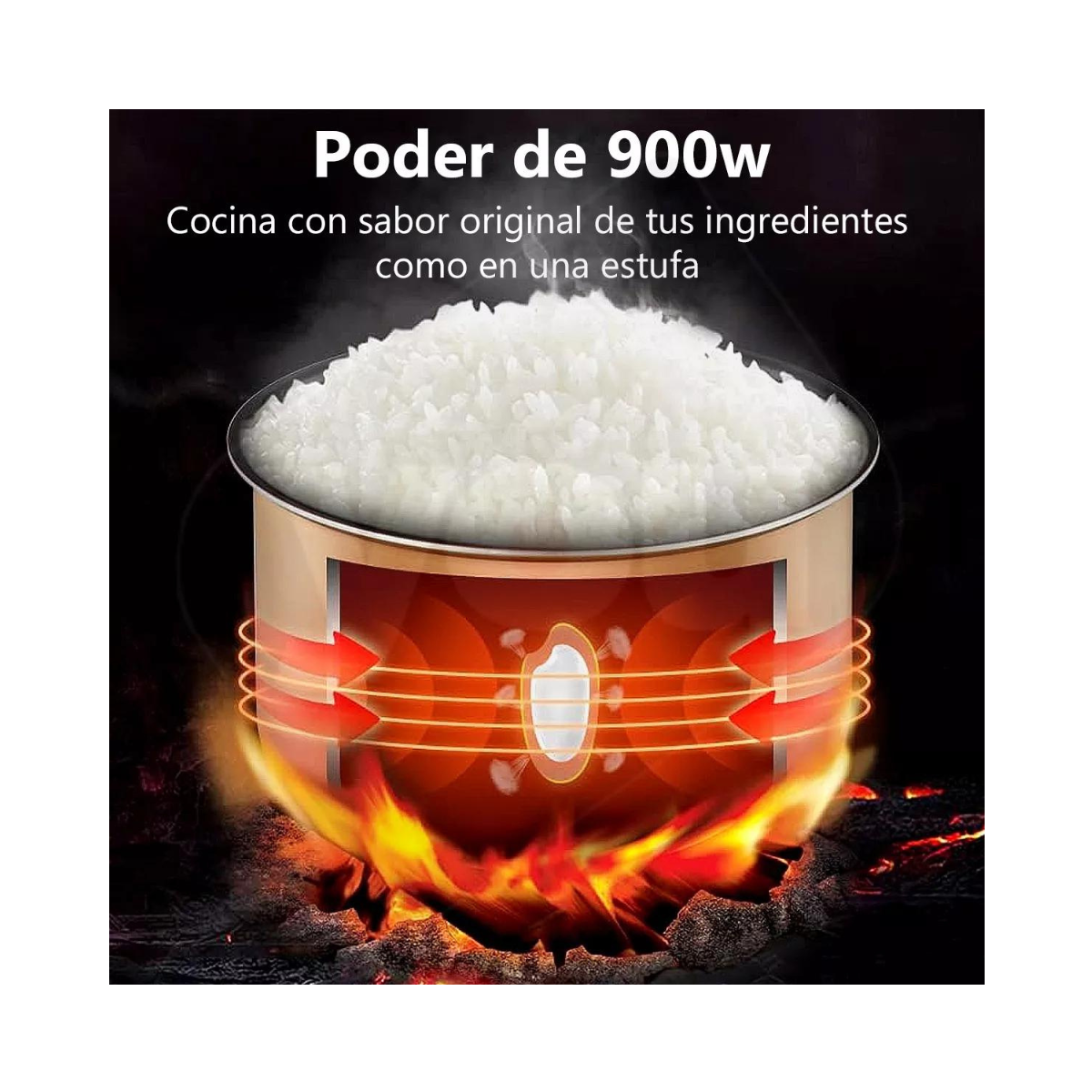 Olla Eléctrica Digital con Placas Cerámicas - 6L