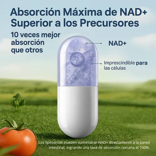 NAD+ RESVERATROL 500MG 60 CAPS ORIGINAL